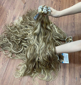 Extensiones de Cabello Humano Vietnamita Virgen 100% Natural, Color Piano, Doble Trama, al por Mayor - Product Image 2