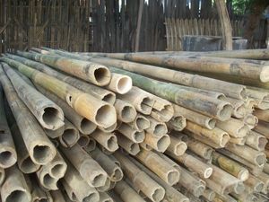 En stock Tube de poteaux en bambou de grande quantité/matériaux Poteau en bambou de haute qualité avec taille personnalisée - Product Image 5