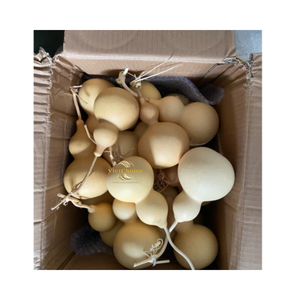 งานฝีมือน้ำเต้าแห้งแบบเรียบง่ายของตกแต่งศิลปะจากธรรมชาติ - Product Image 4