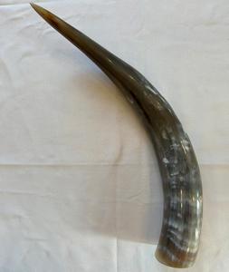 Luxury Drinking Horn With Carved Work for Beer Wine Water Ox/Buffalo Polished Horn Agate for Home Wedding Party From India - Product Image 2