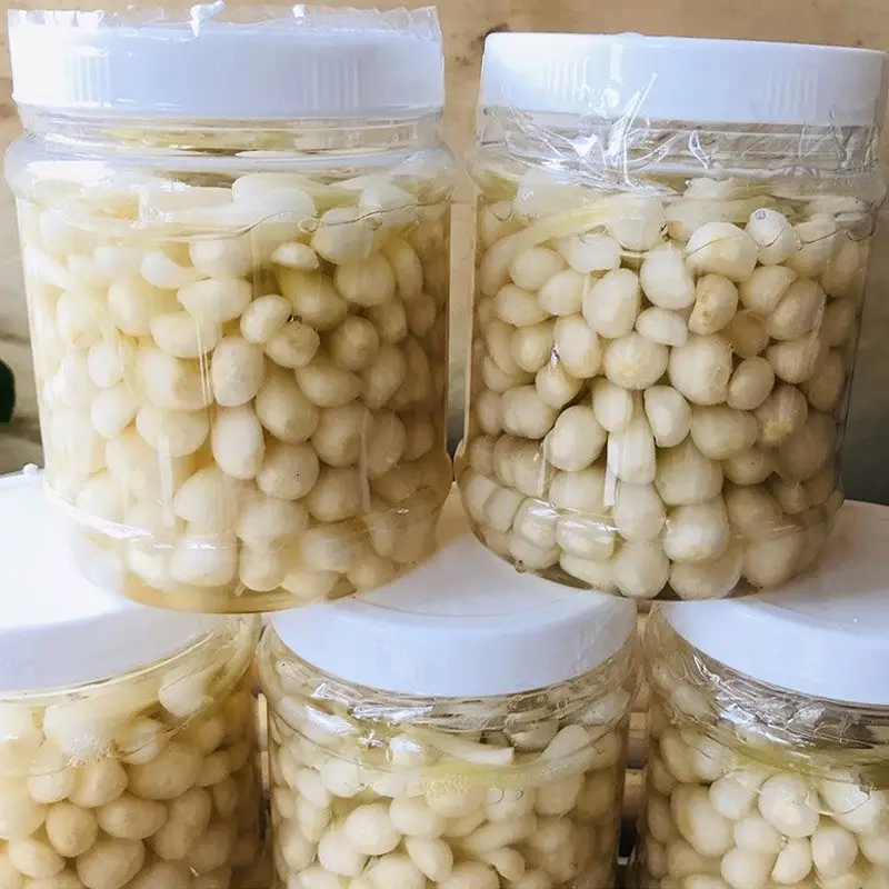 Makanan khusus sayuran bawang acar daun kaleng dari Vietnam