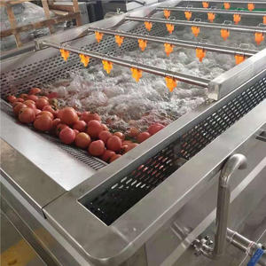 Laveuse de légumes rotative professionnelle avec certificat CE - Product Image 2