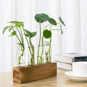 Vase en bois rond moderne de haute qualité avec tube de verre Utilisation de table en rotin élégant Finition naturelle pour un usage domestique - Product Image 3
