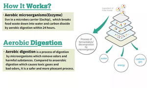 Machine 100% écologique, en acier inoxydable, capacité 500kg/jour, pour la recyclage des résidus alimentaires, pour les clients européens - Product Image 6