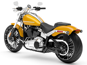 Venta en Subasta de Motocicletas Nuevas FXBR Breakout 2025 con Potencia de 1001-2000W y Velocidad Máxima Superior a 80km/h - Product Image 3