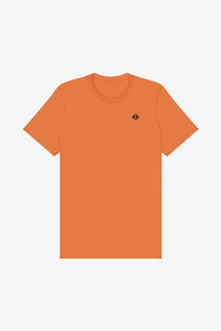 Camiseta de Cuello Redondo para Hombre, Color Naranja Óxido, Algodón de Punto Sencillo, Manga Corta, Ropa Casual de Moda, Suministro de Fábrica - Product Image 4