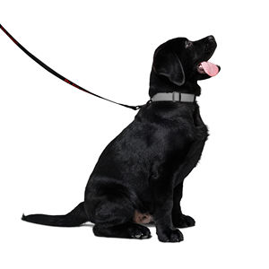 Be Ike-Conic Classic Simple Style Pet Leash Quick Release Reflective Durable Alloy PVC Leather Rubber Materials for Cats Dogs - Product Image 1