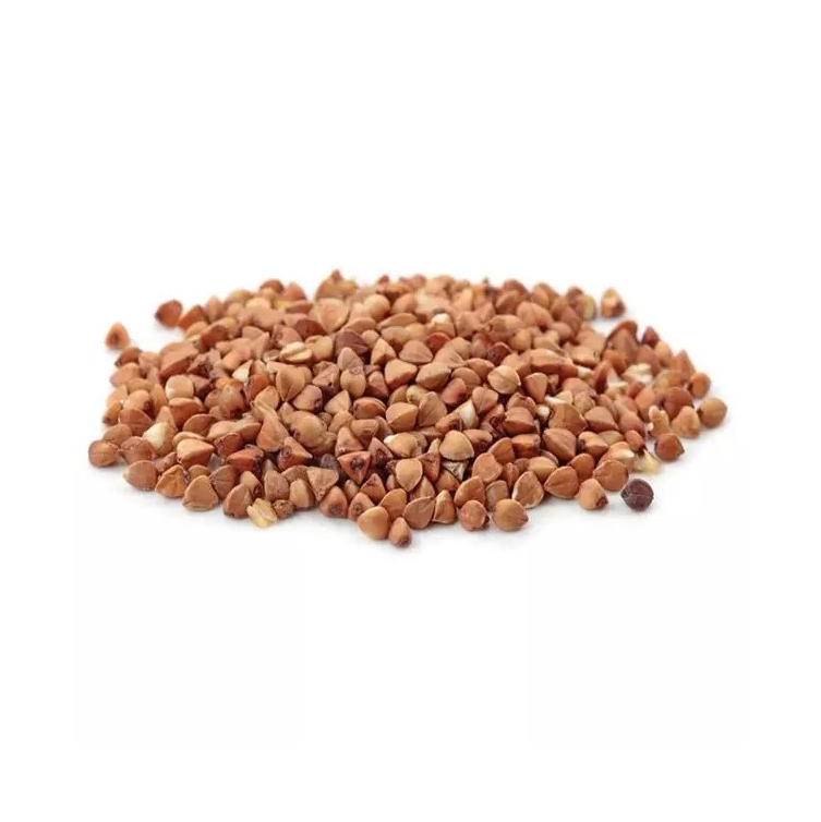 Cheap Price Wholesale Roasted Buckwheat For Sale In bulk