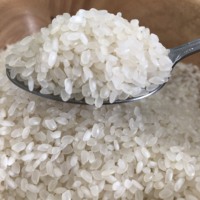 Sac de riz Calrose de 20 kg pour les îles du Pacifique - Riz blanc à grains ronds moyens courts Camolino Egyptant 3% 5% brisures // ANNA DO VIL