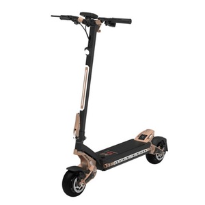 NOUVEAU SCOOTER ÉLECTRIQUE TOP-VENTE DRAGONs GTR V2 - DOUBLE MOTEUR 18024 - Product Image 4