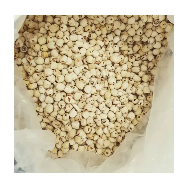Kacang Lotus Putih Kering Alami Vietnam dari Vietnam untuk Ekspor Kacang Teratai Kering untuk Membuat Kue Bulan