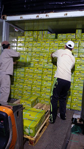 Bán buôn không hạt chanh trong Việt Nam chất lượng cao không hạt chanh không hạt chanh với số lượng lớn - Product Image 3