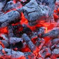 Charbon de bois de tamarin de qualité supérieure en provenance d'Indonésie pour les applications de barbecue commerciales