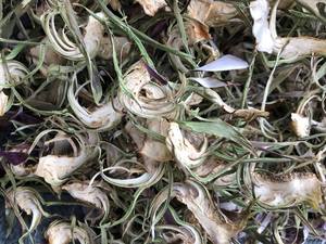 Flor de alcachofa seca de Vietnam para bebidas refrescantes tradicionales e infusiones de hierbas en cantidades al por mayor para compradores globales - Product Image 6