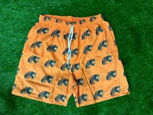 Florida A&M University <b>Men's</b> Eco-Friendly Embroidered Vintage Board <b>Shorts</b>-FAMU - Product Image 2