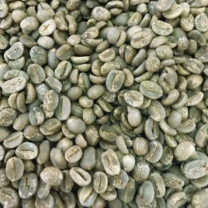 Fournisseur en gros d'exportation de grains de café vert Arabica de spécialité biologique USDA du Vietnam, taille 18, qualité supérieure A+ - Product Image 1