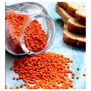 Lentilles rouges riches en protéines, lentilles brutes naturelles, emballage en vrac pour importateurs, distributeurs, supermarchés et acheteurs de services alimentaires - Product Image 1