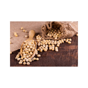 Soja sin OGM disponible a precio barato/soja de alta calidad/soja amarilla sin OGM de calidad superior - Product Image 2