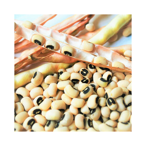 Venta al por mayor de alta calidad 100% producto natural seco oscuro de calidad alimentaria frijol de Ojos Negros - Product Image 6