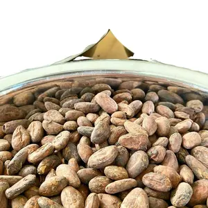Cacao/Cacaobonen (Peru) Biologisch, Een Kwaliteit Premium Kwaliteit Cacaobonen Te Koop Hoge Kwaliteit Colombiaanse Cacaobonen Bulkverkoop