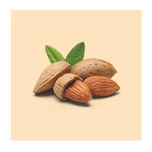 Vente Amandes-Amandes Noix-Amandes de Californie-Expédié en vrac Top Grade Organic - Product Image 3