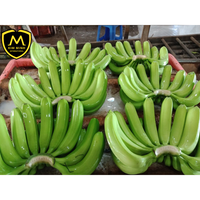Hoge kwaliteit, verse, zoete smaak, ISO-gecertificeerd, Vietnam oorsprong, Cavendish bananen, tropische vruchten, graad A, 13,5 kg KM/Cavendish banaan