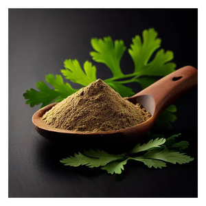 Poudre de coriandre naturelle de qualité supérieure, saine, de qualité alimentaire, séchée par pulvérisation, prix compétitif, fabriquée par Herbojit International - Product Image 2