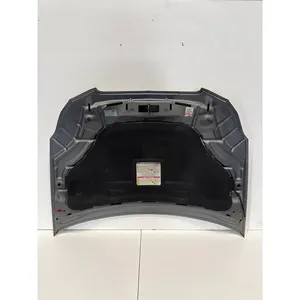 Cofano Anteriore LANCIA Delta 3a Serie 9 (08>11) - Product Image 4