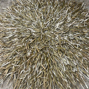 Fabricación Vietnam Resort Quality Seagrass Thatch Umbrella Cover 1,6 M-2,6 m para piscina, bar de playa y uso en bodas al aire libre - Product Image 1