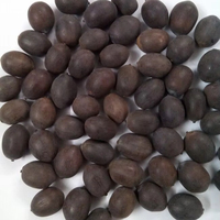 Premium Grote Aanbesteding Detailhandelsdistributie Gedroogde Lotusbloemzaden Vietnam Toan Tai Loc Phat Export Directe Levering Landbouw