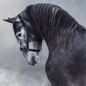 Cabestro para Caballo de Control Seguro, Diseño Ajustable y Duradero para Entrenamiento, Manejo, Seguridad en el Establo y Cuidado Ecuestre Diario - Product Image 2