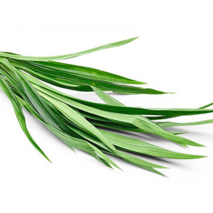 Feuille de Pandanus de vente chaude créent la saveur et la couleur pour la poudre de feuille de Pandan séchée par nourriture avec le meilleur prix - Product Image 2