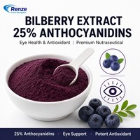 Extrait de Myrtille 25% Anthocyanidines en Poudre Santé Oculaire Antioxydant Nutraceutique