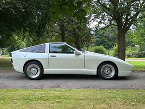 TVR White Elephant Prototype 1988 USADO (LHD/RHD) - 5.0 Holden Peter Wheeler - Product Image 2