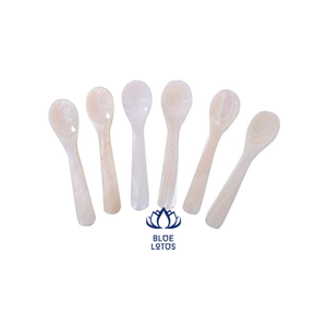 Cuillère à coquille de conque au meilleur prix du Vietnam pour l'exportation - Product Image 1