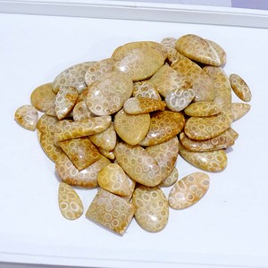 Cabujón de coral fósil natural Lote al por mayor Cabujón de coral fósil por peso con diferentes formas utilizadas para la fabricación de joyas - Product Image 4