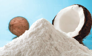 Noix de coco séchée de bonne qualité certifiée 100% poudre de noix de coco séchée naturelle fraîche à bas prix flocons de noix de coco sucrés - Product Image 3