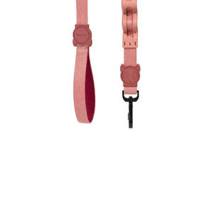 Harnais pour chien Naturals 2.0 Canyon Cushioned Leash, motif uni, avec rembourrage confortable - Product Image 3
