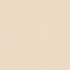 Revestimientos de Suelo Vitrificados de Alto Brillo Estilo Bohemio 600x1200mm, Ambiente Libre para Lofts y Estudios Creativos - Product Image 3