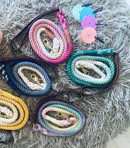 Laisse de chien en corde faite à la main de qualité Collier de chien en cuir vert de haute qualité pour lévrier et Whippet - Product Image 1