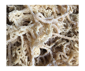 Mousse de coton séchée Organique Naturelle Pure Vegan Superfood en vrac Vente en gros sans OGM Sans gluten Wildcrafted Vietnam Premium Expor - Product Image 6