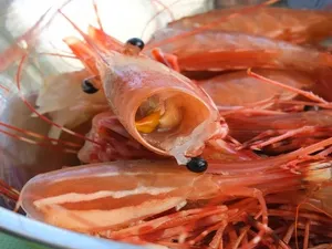 จัดจำหน่ายเปลือกหอยกุ้งแห้งนึ่งคุณภาพสูงโดยซัพพลายเออร์จากเวียดนาม - Product Image 4