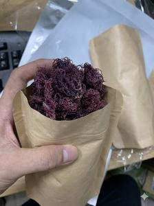 Mousse de mer violette 100% naturelle - Product Image 4