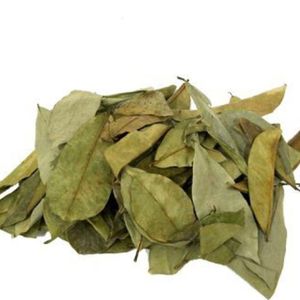 Pure Soursop Leaves/ <b>Flash</b> <b>Sale</b>: 24 Hours of Incredible Saving! - Product Image 4