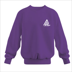 Vente en gros de molleton de coton avec logo personnalisé de haute qualité 450gsm sweats amples à manches longues et col rond pour homme - Product Image 4