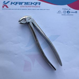 Pince d'extraction Fig 22 molaires inférieures Pince d'extraction de racines Premium Motif anglais Ensemble dentaire Instruments chirurgicaux Pakistan - Product Image 5
