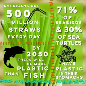 Wholesale 100% Eco Drinking Straws Custom Grass Straw Biodegradable Reusable / Grass Straws Drinking Natural Drinking Healthily - Product Image 6