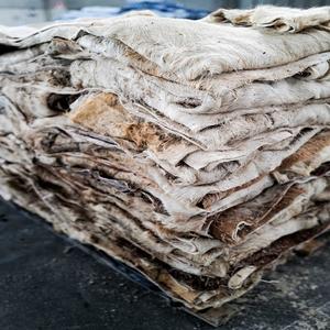Hot Selling Price of Raw Wet Salted and Dried Cow <b>Leather</b> / Hides / Skins in Bulk Quantity - Product Image 1