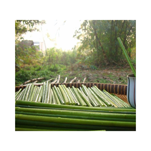 Agricultural Products Biodegradable Drinking <b>Straws</b> Eco Friendly High Quality Competitive Price From Viet Nam Supplier - Product Image 5