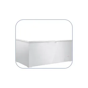 High Quality Good Selling DSL 500 Wall Thickness 60mm Deep Household Hotel Commercial Chest Freezers
